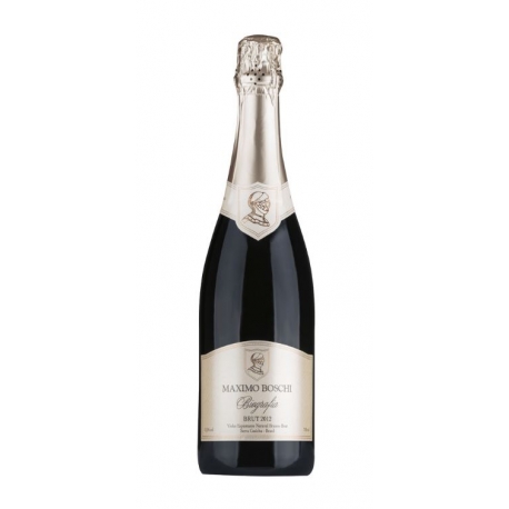 Maximo Boschi - BIOGRAFIA BRUT Maximo Boschi - BIOGRAFIA BRUT