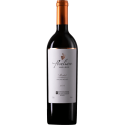 Peculiare - Merlot DO 2012