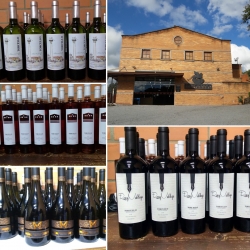 Degustação com Lançamento dos novos Vinhos da Torcello com Rogério Enólogo e Proprietario 