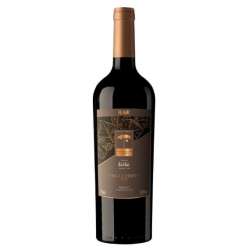 RAR - Collezione Merlot 2022