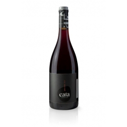 Cata - Pinot Noir 2022