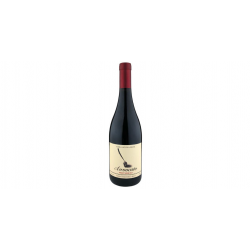 Avvocato - Pinot Noir 2022