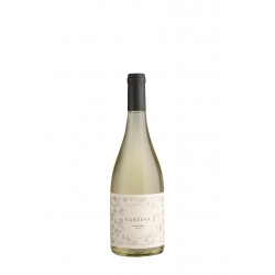 Casa Eva - Chardonnay 2025