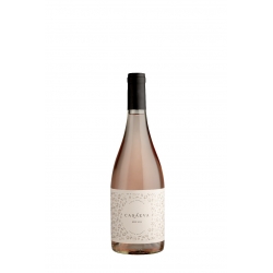 Casa Eva - Rose 2025