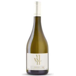 Vivalti - Alvarinho 2024