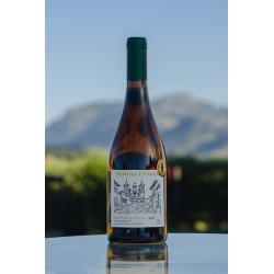 Primeira Estrada -...