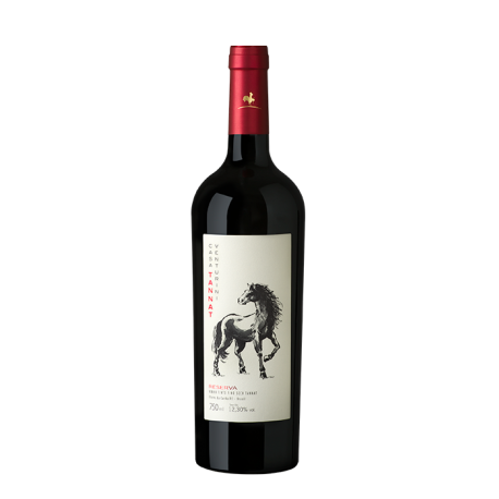 Casa Venturini Reserva - Tannat - 2013