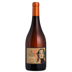 La Grande Bellezza -...