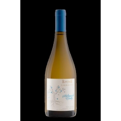 Terrasul - Malvasia de...
