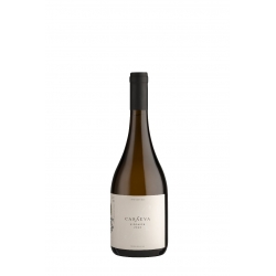 Casa Eva - Viognier 2025