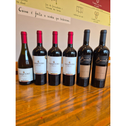 21-04 - Degustação Vinícola...