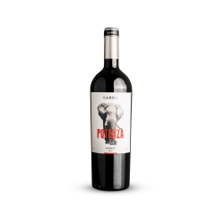 Garbo - Potenza Tannat 2022
