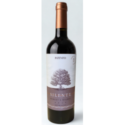 Intento - Silente 2025