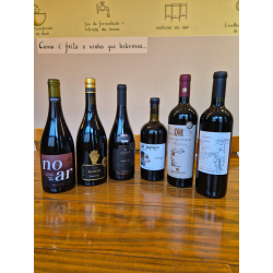 Dia 15-09 Degustação Pinot...
