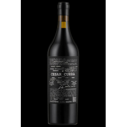 Cesar Curra - Beta Blend 2025